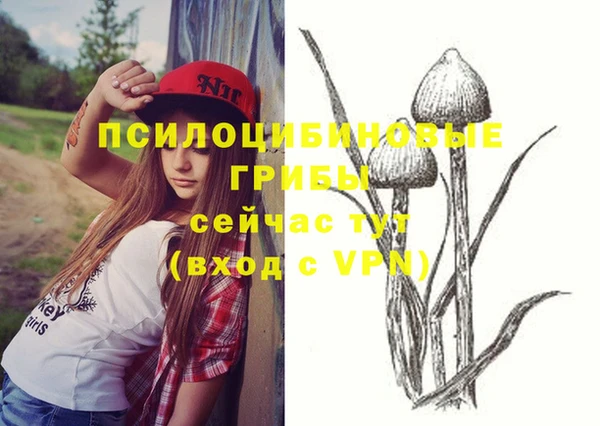 МДПВ Володарск