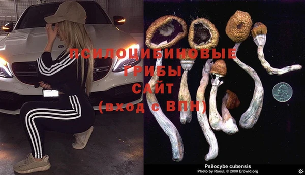 МДМА Верея