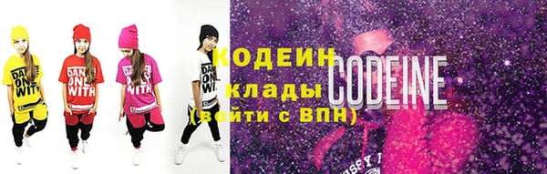 шишки Верхний Тагил