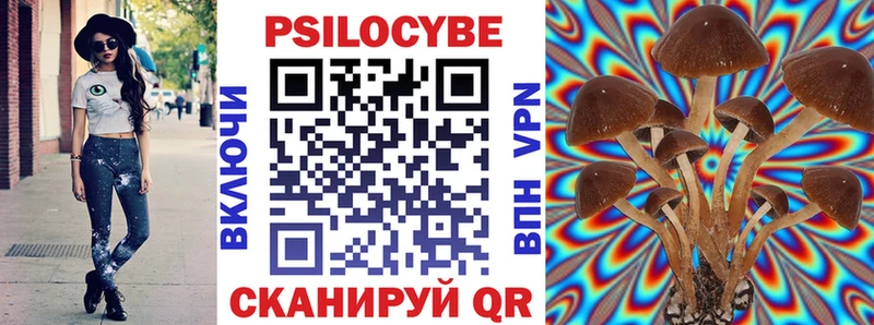 Псилоцибиновые грибы мицелий  Дюртюли 